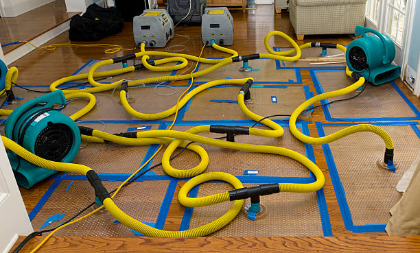Professional Storm Water Damage Restoration technician working in Mulberry, FL